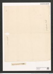 Amphora ostrearia var. quadrata (Breb.) Rabh. (de-Toni-Nr.: Genus 36, Species 1504) Zeichnungen Sammlung Grunow (NHMW-BOT-W0370252)